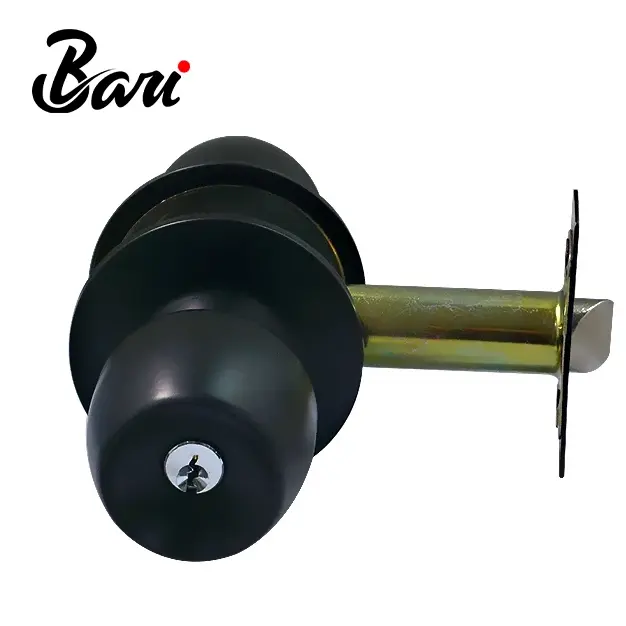 main-image-3.webp