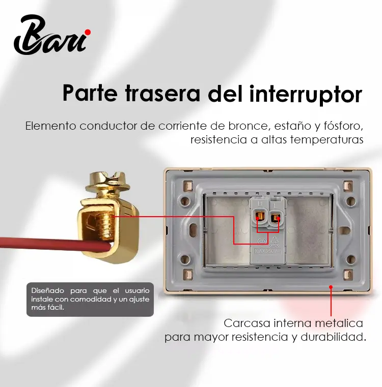 parte trasera.webp