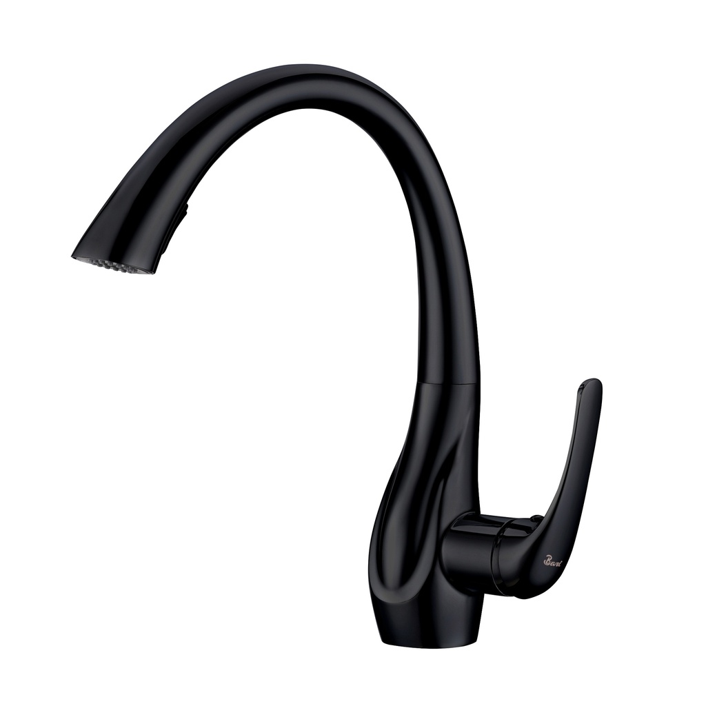 Grifería Para Fregadero Ercolina Matte Black