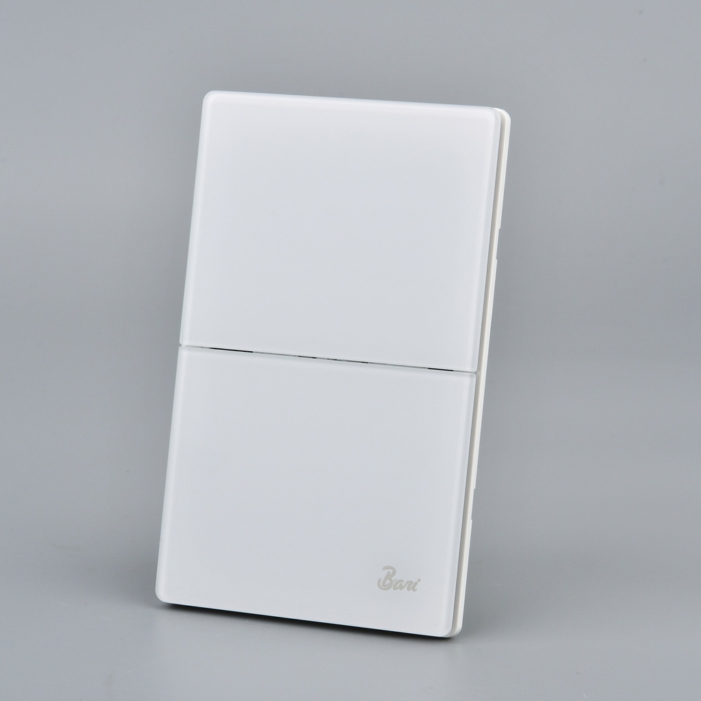 Interruptor Doble Serie Neve