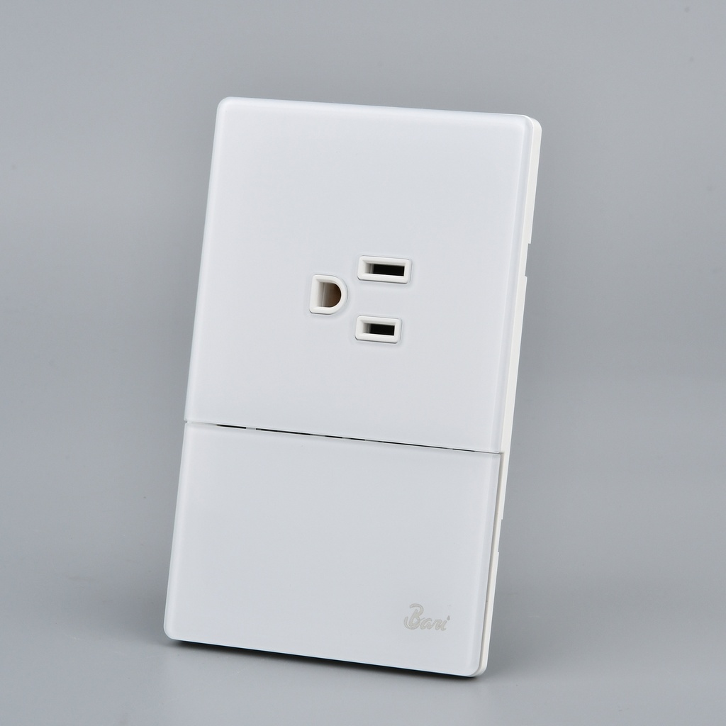 Interruptor + Tomacorriente con tierra Serie Neve