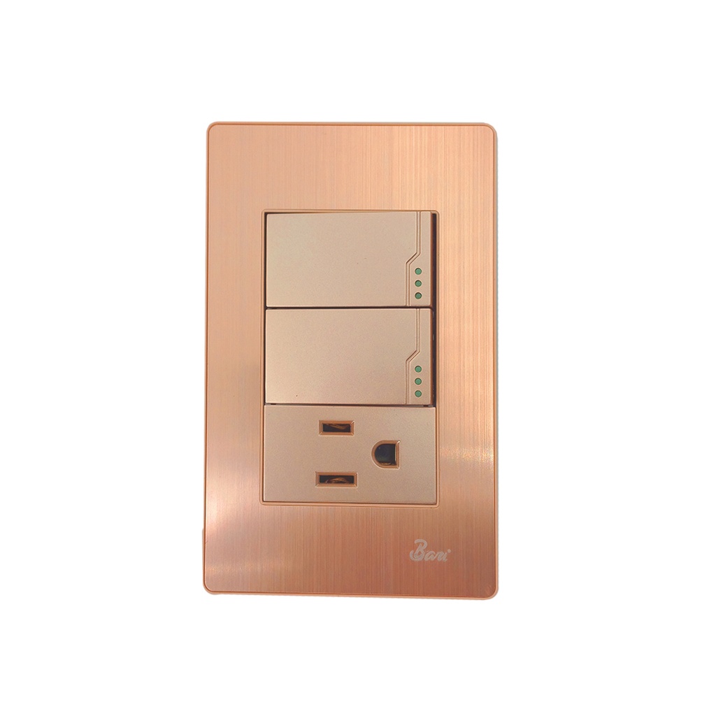 Interruptor Doble + Tomacorriente con Tierra Serie Ottone