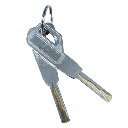 [CER.10.01] Llave virgen para Cerradura Inteligente (10 pcs)