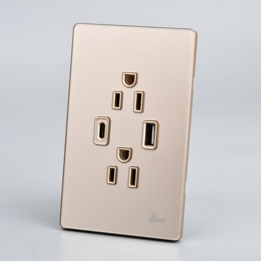 [INT.12.11] Toma Corriente Doble USB Serie D'oro