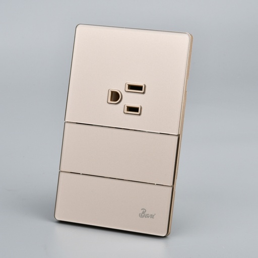 [INT.12.12] Interruptor Doble + Tomacorriente con Tierra Serie D'oro