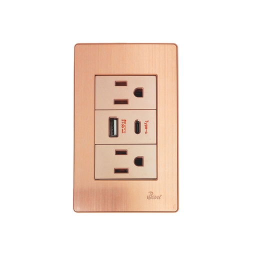 [INT.03.11] Toma Corriente Doble USB Serie Ottone